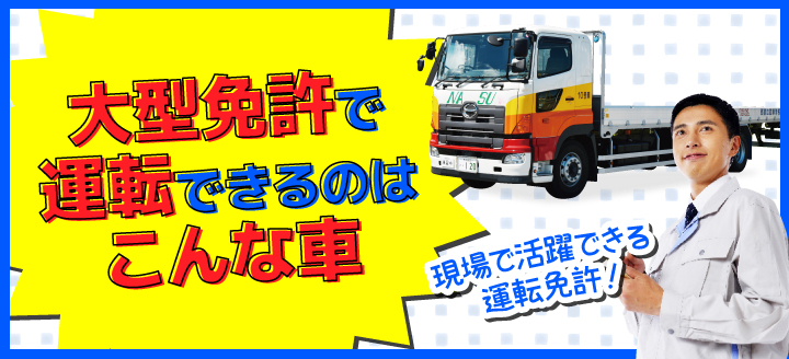 大型免許で運転できる車